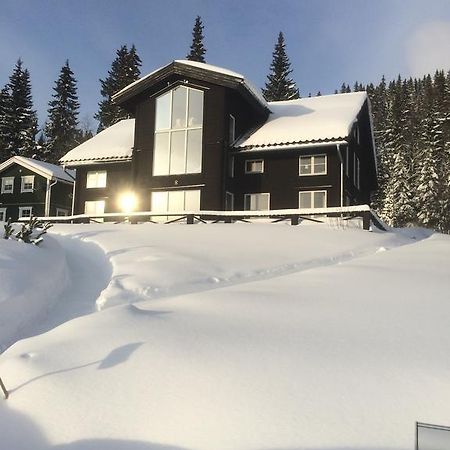 Villa Edvinsvaeg 8 Åre Εξωτερικό φωτογραφία
