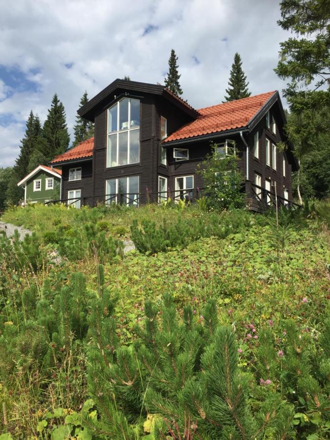 Villa Edvinsvaeg 8 Åre Εξωτερικό φωτογραφία