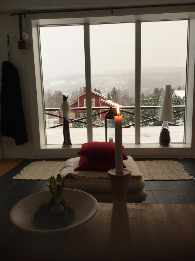 Villa Edvinsvaeg 8 Åre Εξωτερικό φωτογραφία